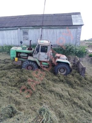 Трудяга116RUS (Миня)