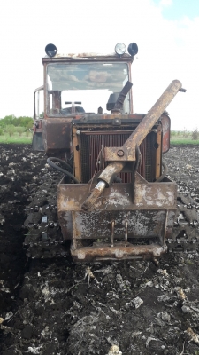 Почтальон на оценку)