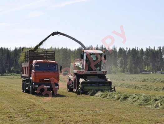 Работа в поле Работа в поле