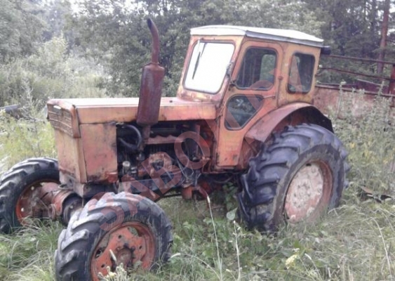 Т-40 АНМ РЕДКИЙ ЗВЕРЬ)