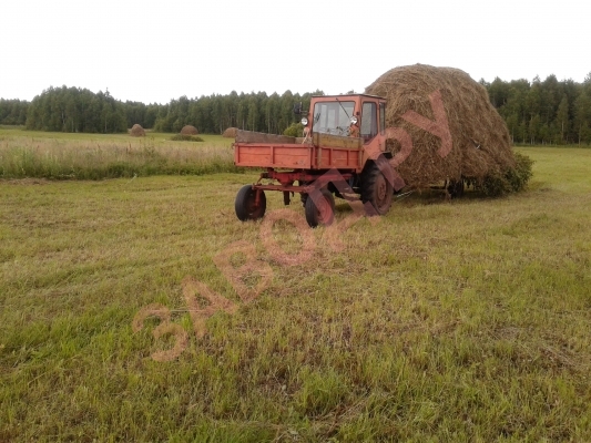 Сегодня закончил подвоз сена.