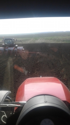 С самого утра в работе. Сев семечки, 56 регион ✋ С самого утра в работе. Сев семечки, 56 регион ✋