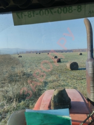 Беларус 1523 постоянно рвет ремень генератора, соосность в порядке, задиров тоже нет. 