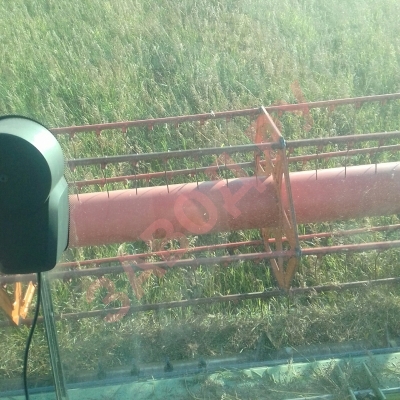 Уборка костра на семена.