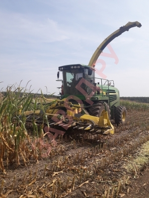 Уборка силоса в разгаре.