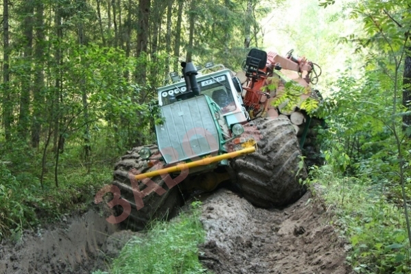 Фотографию прислал:Тема Смирнов