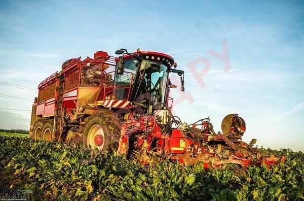 Уборка свёклы. Holmer T4-40