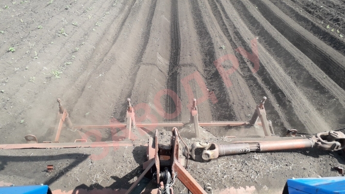 Чем занимаетесь сегодня?