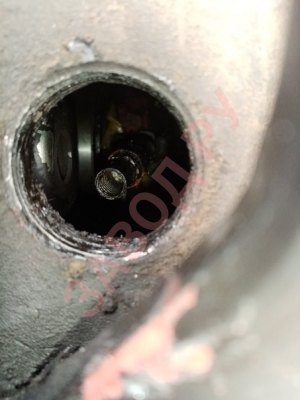 При смазке выжимного на мтз-82, головка от шприца осталась в тавотнице.. Как достать?