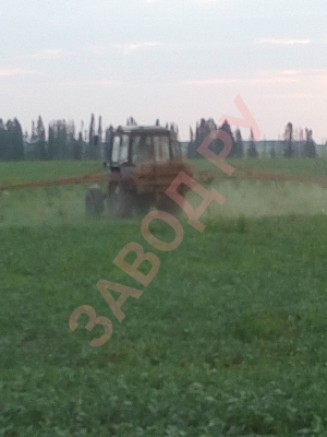 Обработка рапса