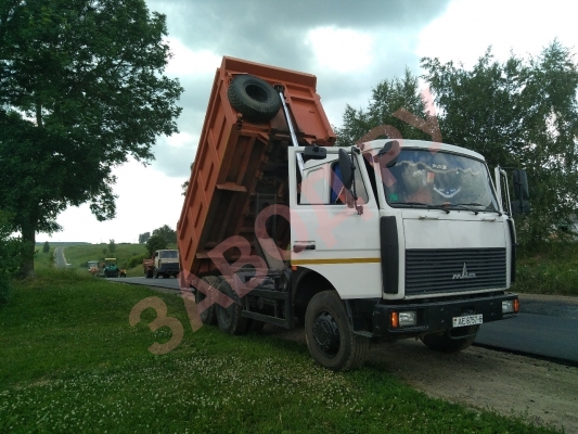 Вот зверюга мой!!!!