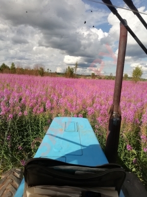 Всем дня без поломок! Всем дня без поломок!