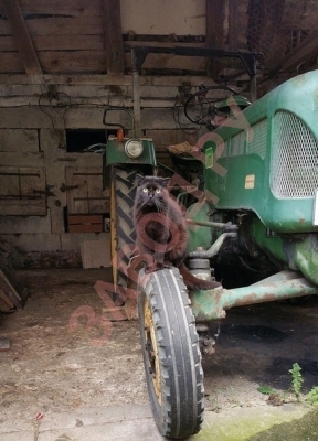 Опять запчасти не привезли. Как я им починю этот примус!