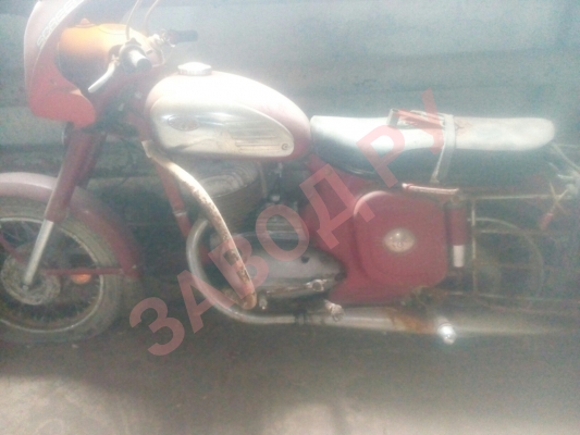 Как думаете сколько стоит такая красотка?