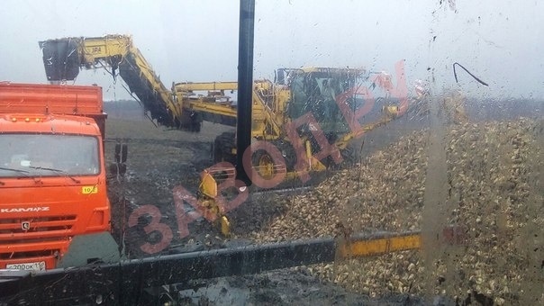 На оценку. Работаем