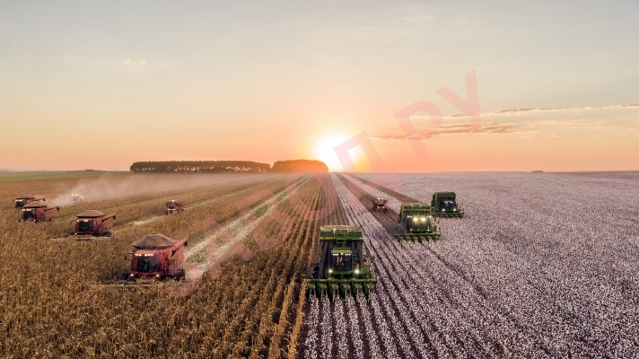 Разве в офисе увидишь подобную красоту? Разве в офисе увидишь подобную красоту?