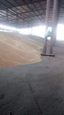 И у нас все началось!!!