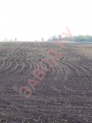 Вопрос от подписчика