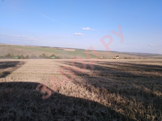 Заканчиваем ячмень