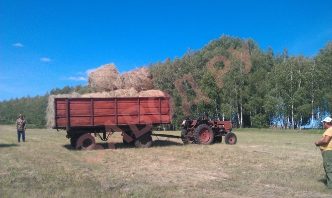 Т-25 в деле.Оренбургская область.