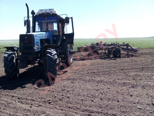 Культивируем пары. МТЗ