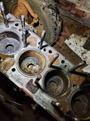 Поршневую группу ,какого производителя лучше .И прокладку какую гбц ,д 240?  Поршневую группу ,какого производителя лучше .И прокладку какую гбц ,д 240?