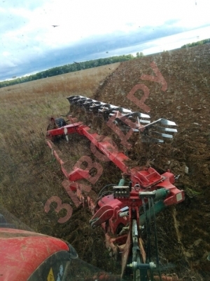 Семилетние пары. Подмосковье.