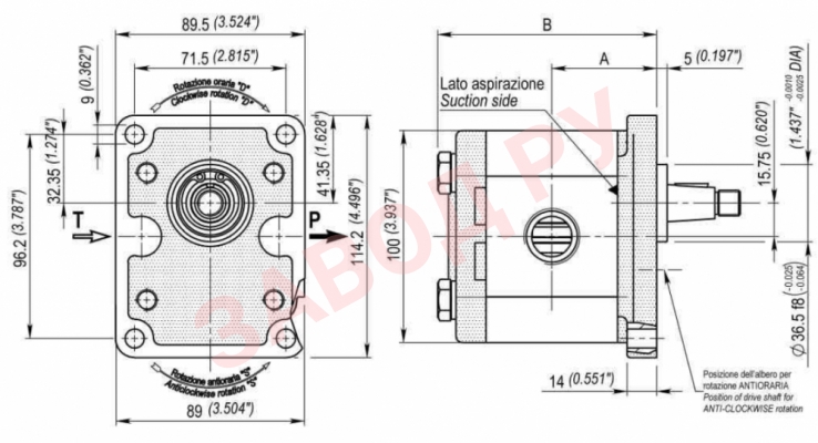 Габаритные размеры насосов серии BG20 STO