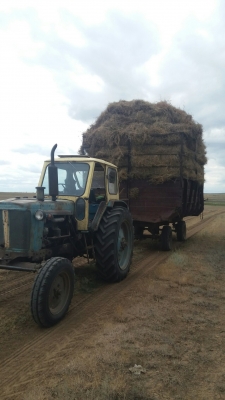 Ветеран труда