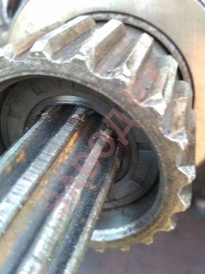 При замене вала главного сцепления и сборке сальник чуть попадает за зубья.На сколько вал должен выступать по отношению зубов наружного вала ?