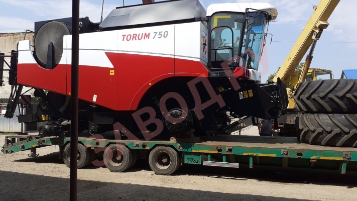 Новенький на рис