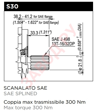 Вал насоса BG3044S20AS30GG5D00