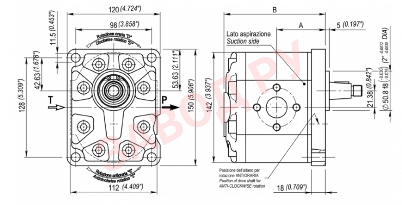 Габаритные размеры насос BG3028ST0AT80GG5D00