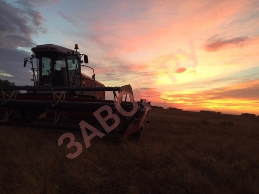 Фотографиями поделился: Вадим Заикин