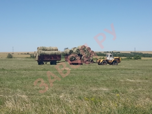34 регион заготовка сена
