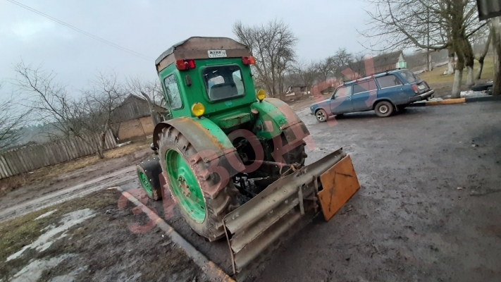 Нарастил задние крылья