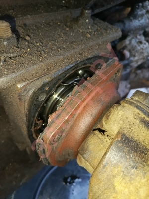 Из-за плохого подшипника может ли беларус не ехать трещать в колесе?.