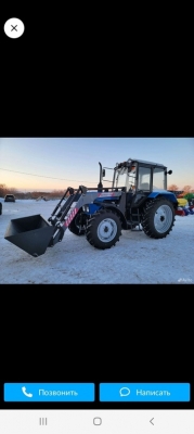 Какой лучше взять кун?  Какой лучше взять кун?