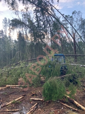 Меняем поршневую на д-243, Можно ли в данной головке просверлить и нарезать резьбу под свечи накала???Свечи со смещением.