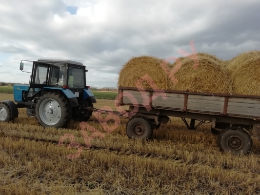 Заготовка на зиму.