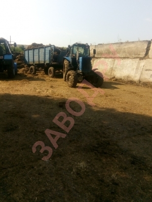 Кормим 76 регион