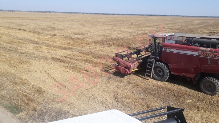 Комбайн Палессе