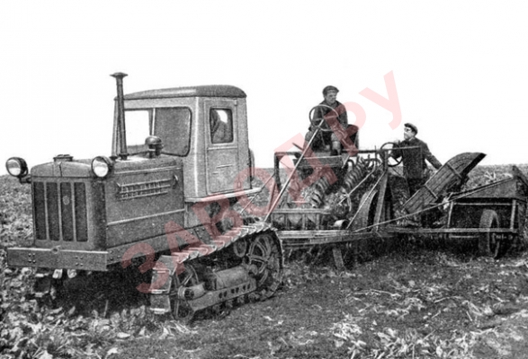 Кто опознает старичка?